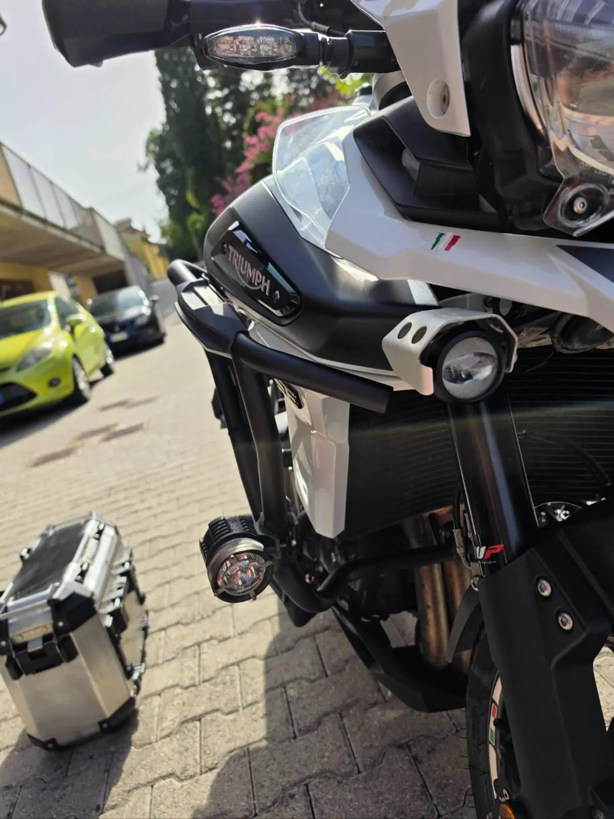 Triumph Tiger 1200 Alpine Edition (2020) (6)