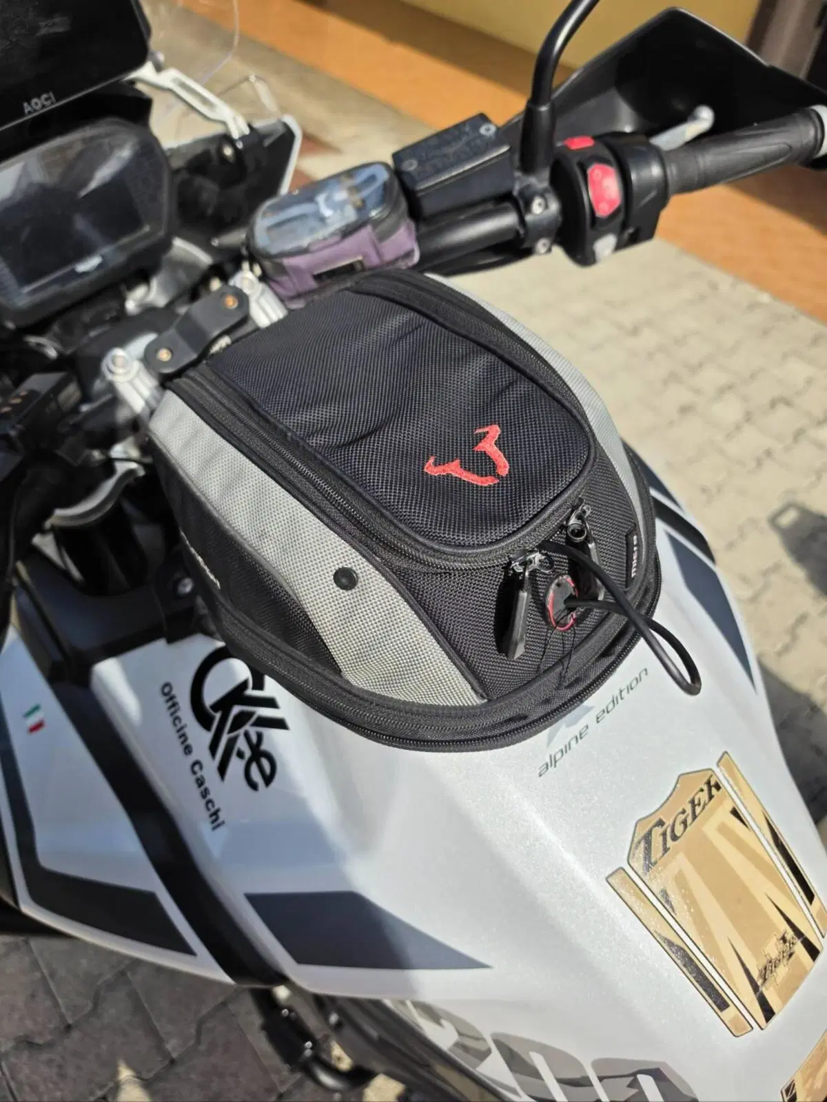 Triumph Tiger 1200 Alpine Edition (2020) (10)