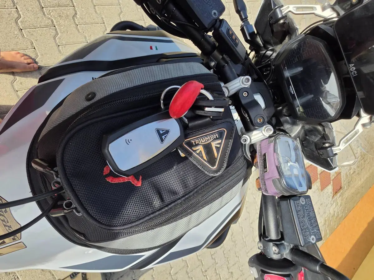 Triumph Tiger 1200 Alpine Edition (2020) (11)