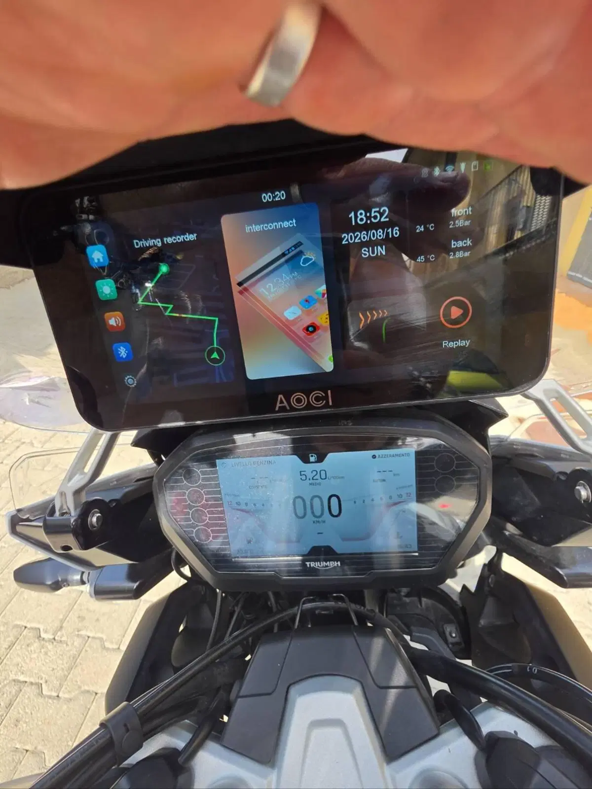 Triumph Tiger 1200 Alpine Edition (2020) (13)