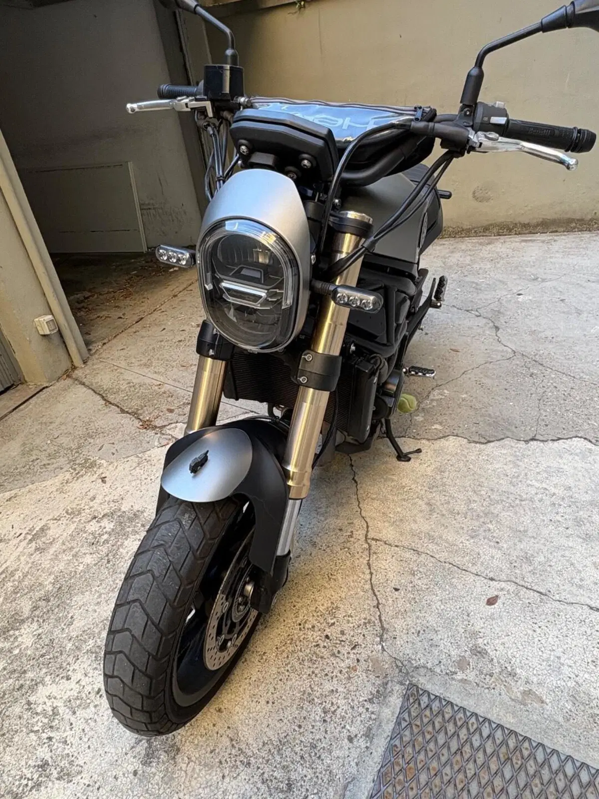 Benelli Leoncino 800 (2022 - 26) (2)
