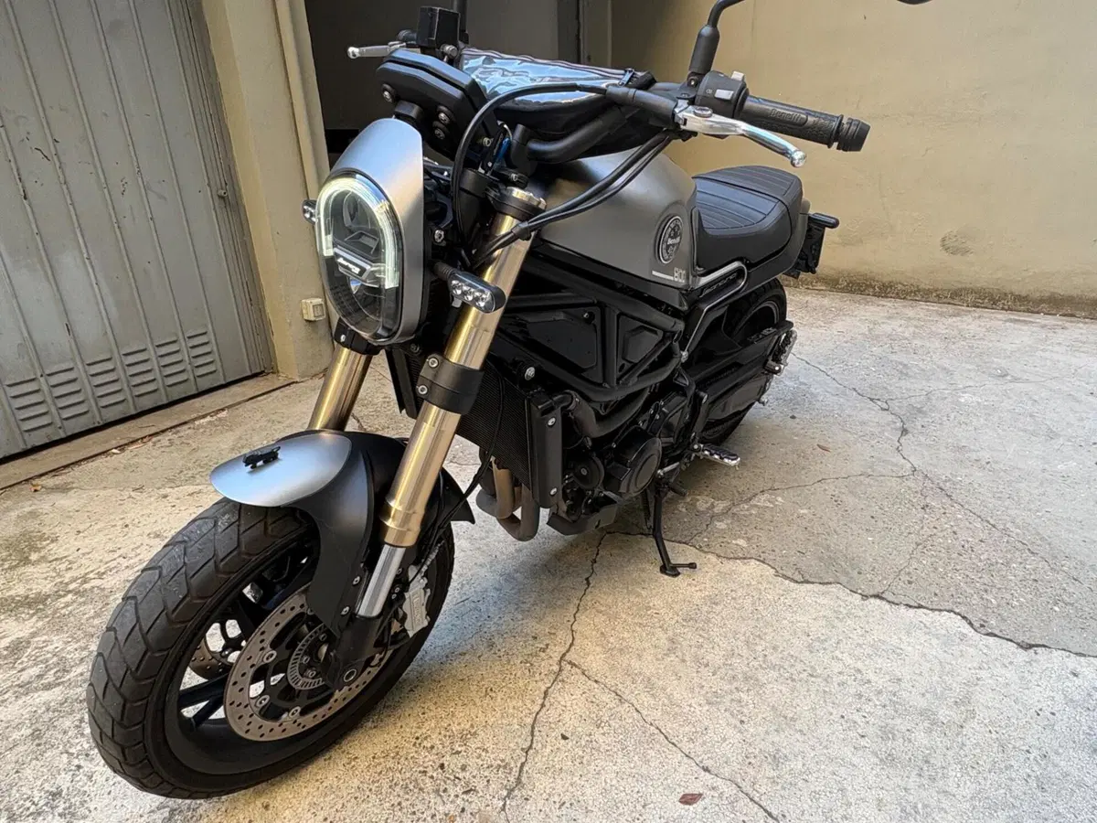 Benelli Leoncino 800 (2022 - 26) (4)
