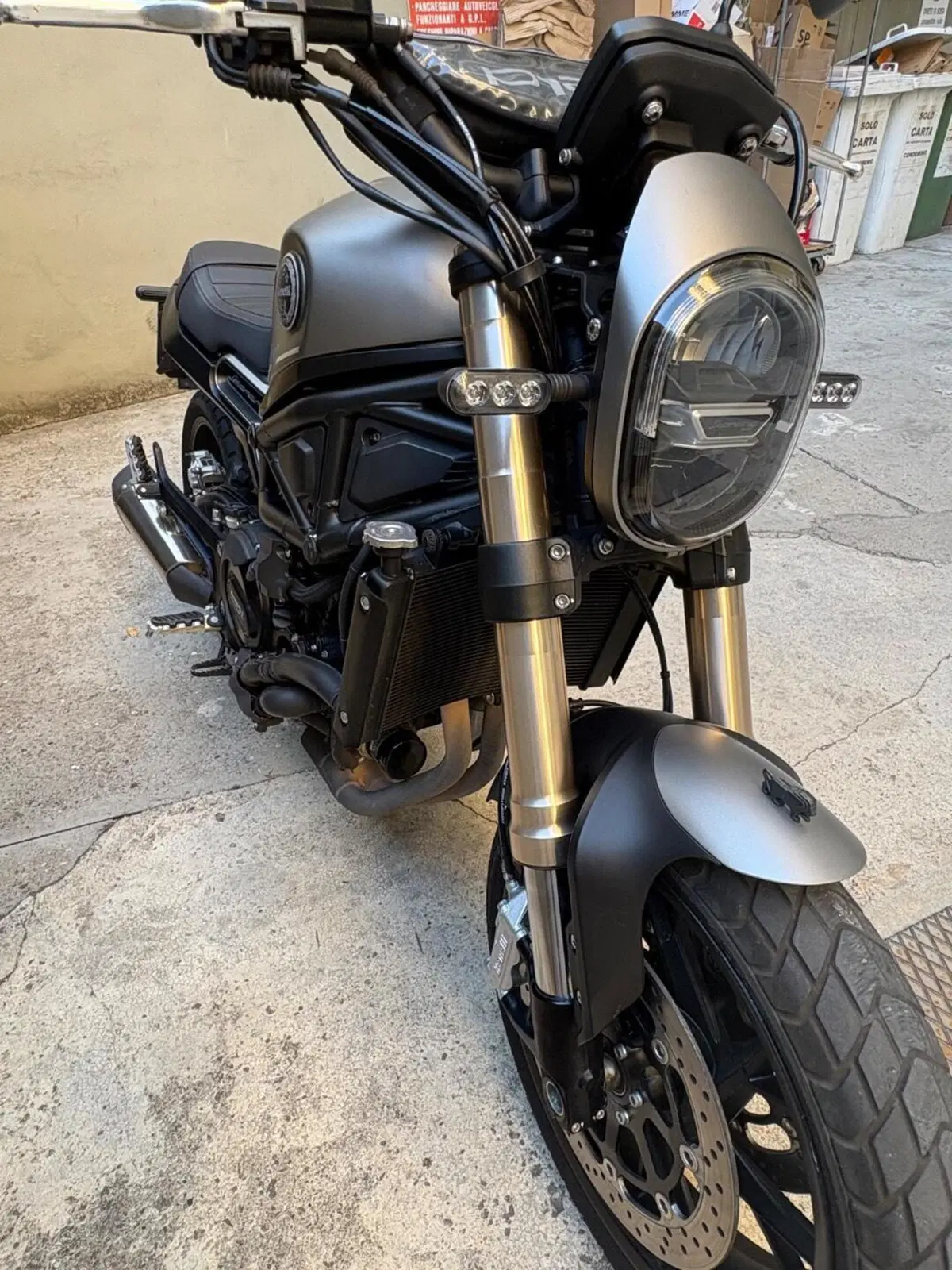 Benelli Leoncino 800 (2022 - 26) (5)