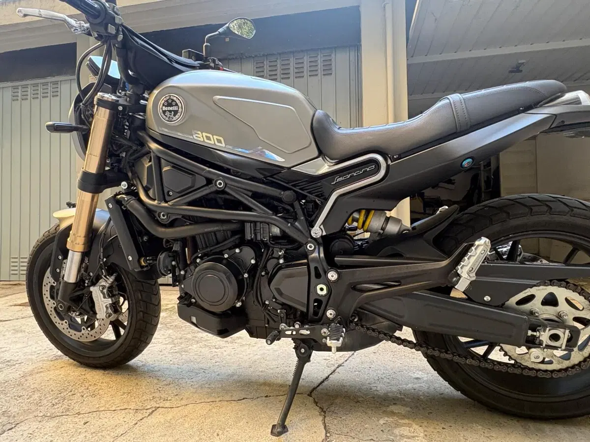 Benelli Leoncino 800 (2022 - 26) (8)