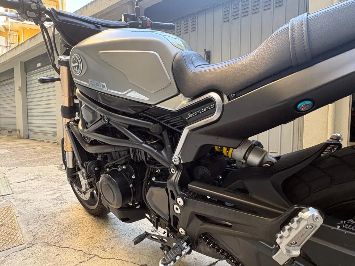 Benelli Leoncino 800 (2022 - 26) (10)