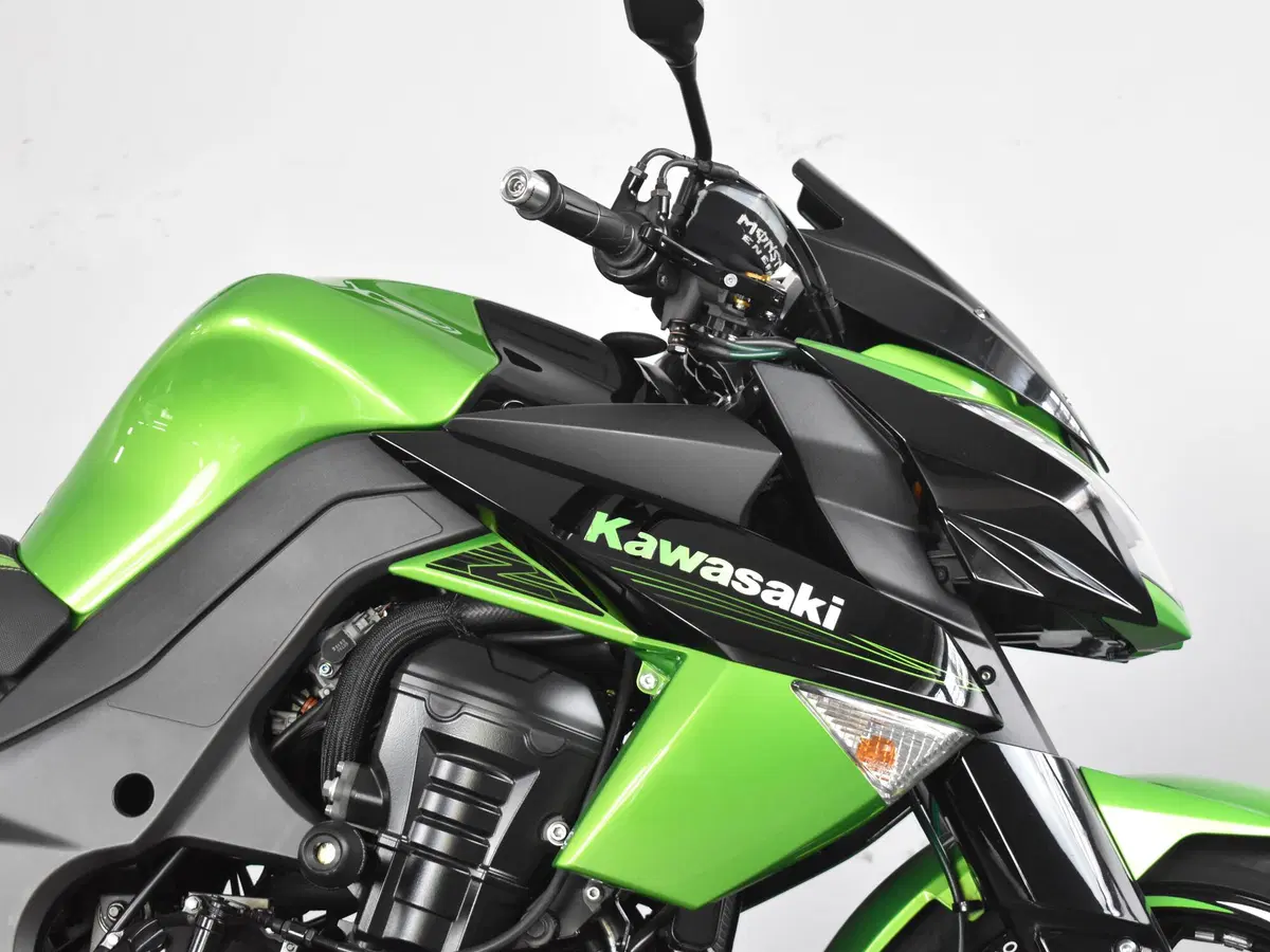 Kawasaki Z 1000 (2010 - 13) (8)