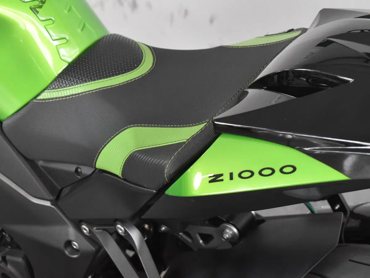 Kawasaki Z 1000 (2010 - 13) (17)