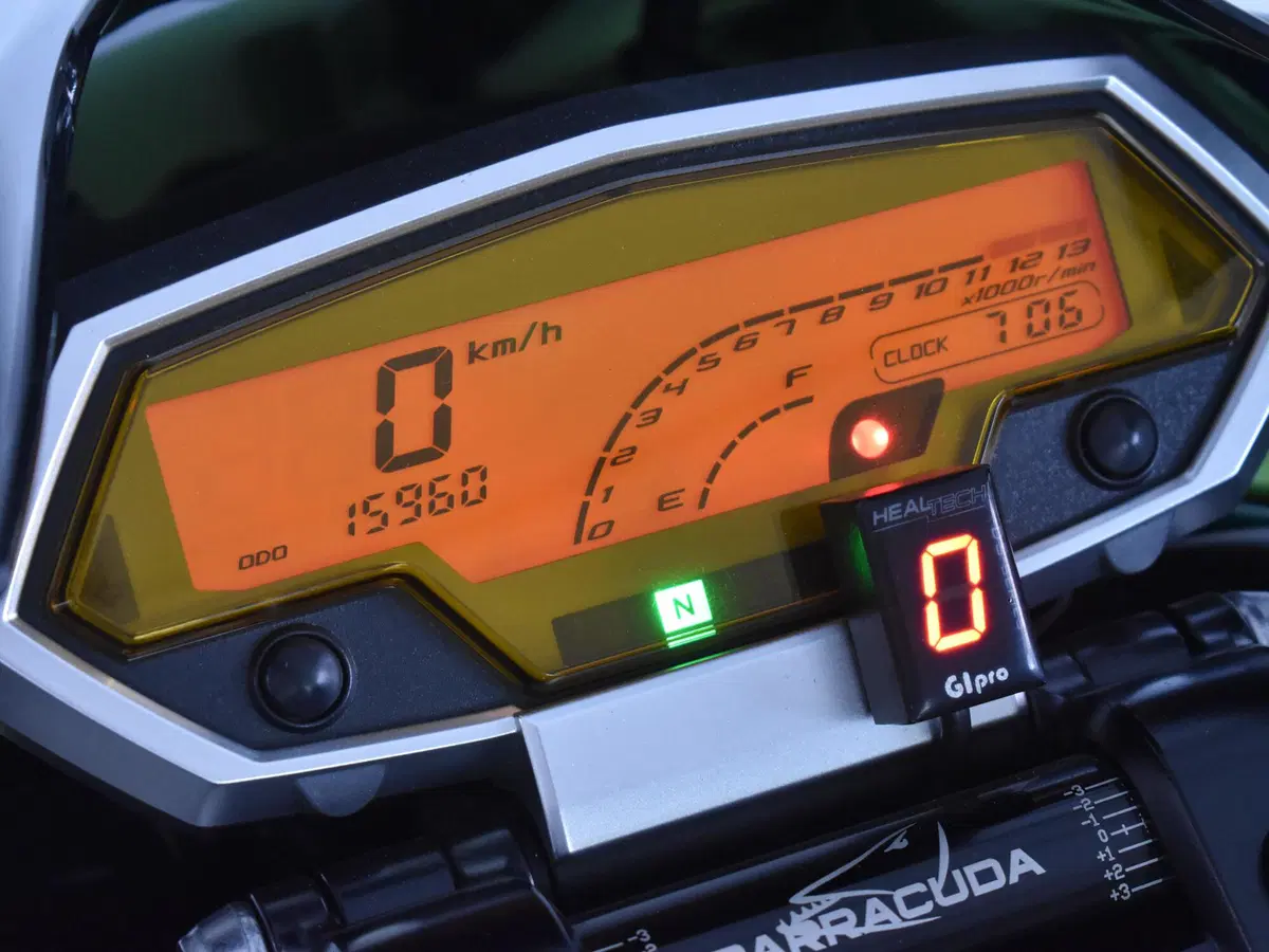 Kawasaki Z 1000 (2010 - 13) (18)