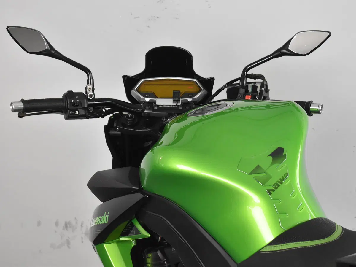 Kawasaki Z 1000 (2010 - 13) (19)
