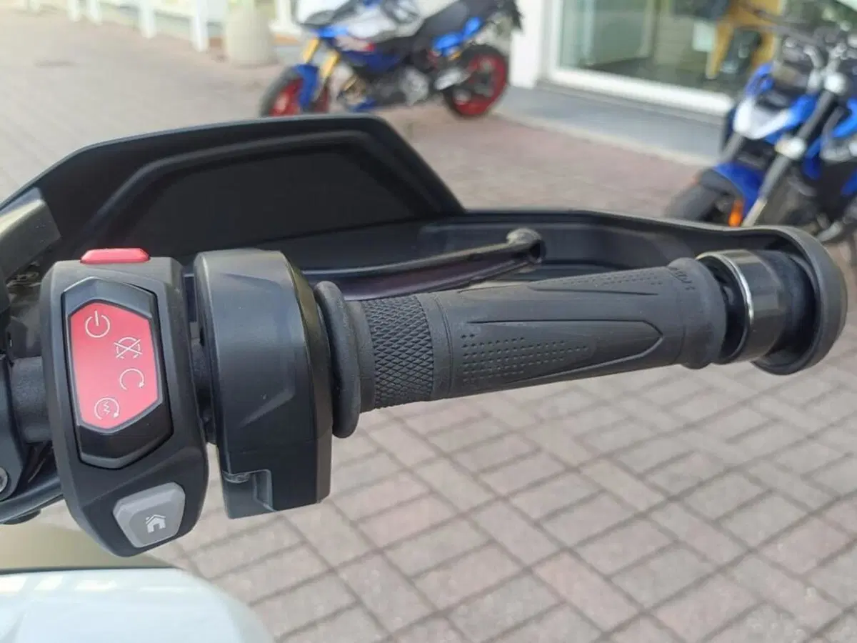 Triumph Tiger 1200 GT Pro (2022 - 23) (14)