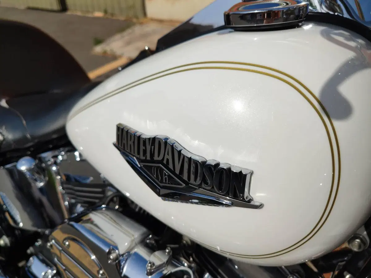 Harley-Davidson 1584 Heritage Classic (2008 - 10) - FLSTC (12)