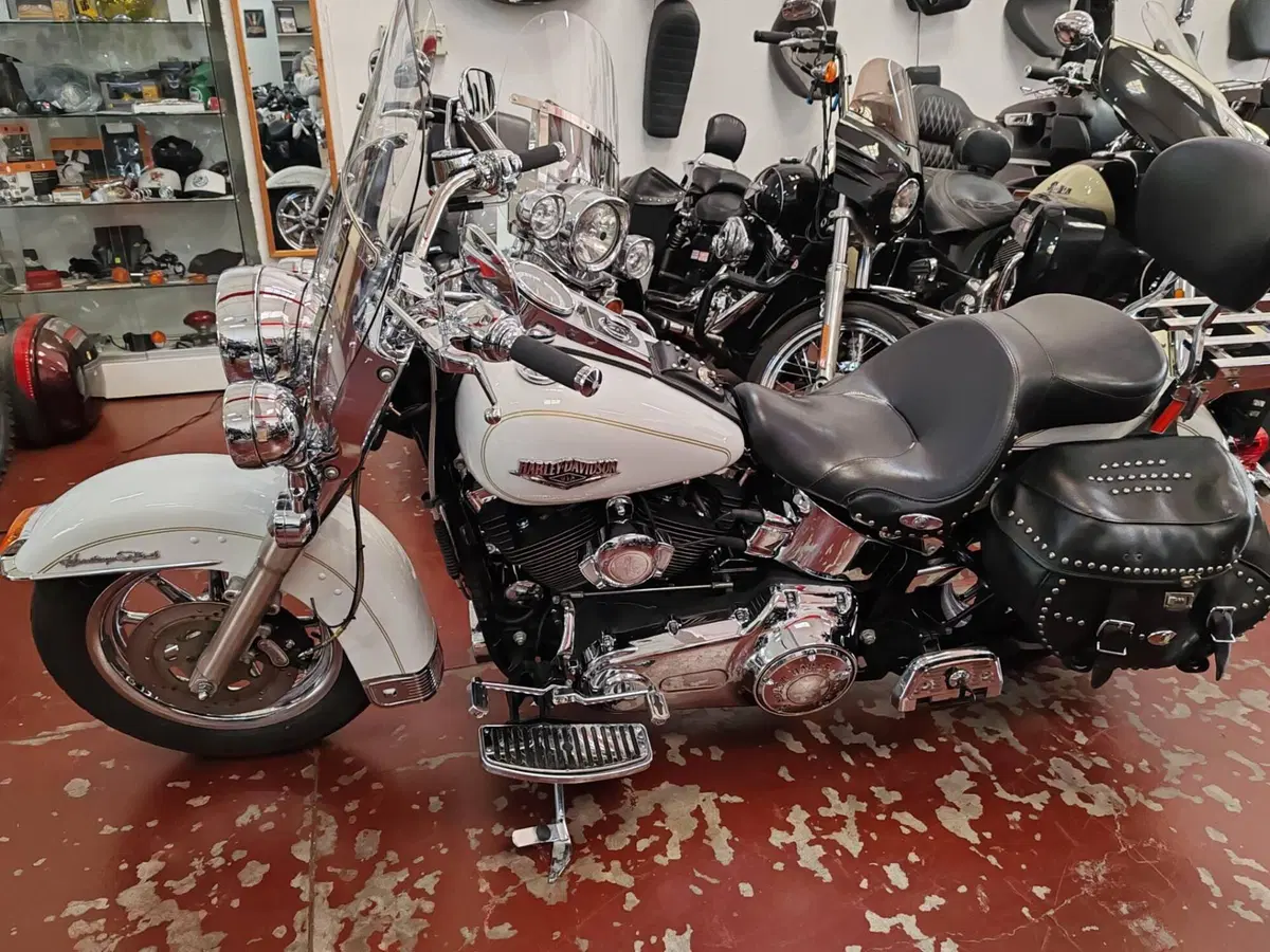Harley-Davidson 1584 Heritage Classic (2008 - 10) - FLSTC (13)