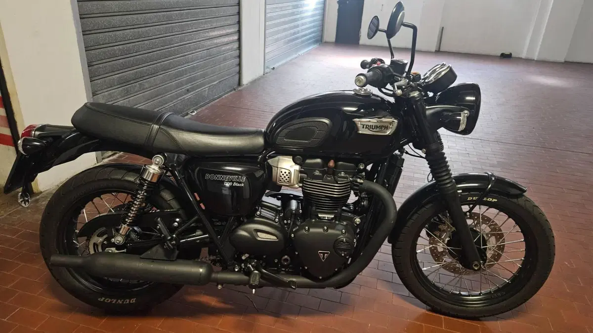 Triumph Bonneville T100 Black (2017 - 20) (10)