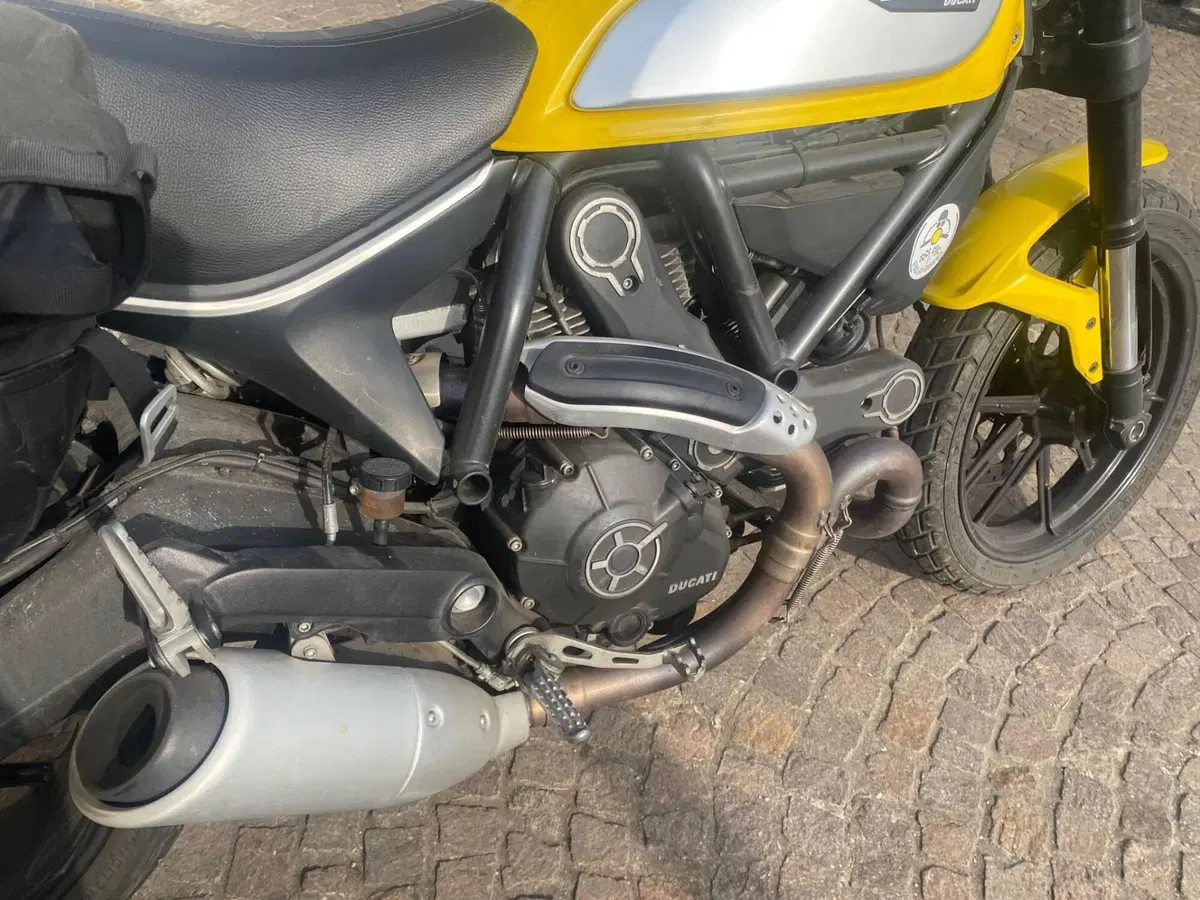 Ducati Scrambler 800 Icon (2017 - 20) (5)