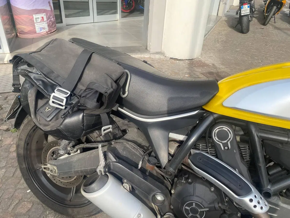 Ducati Scrambler 800 Icon (2017 - 20) (6)