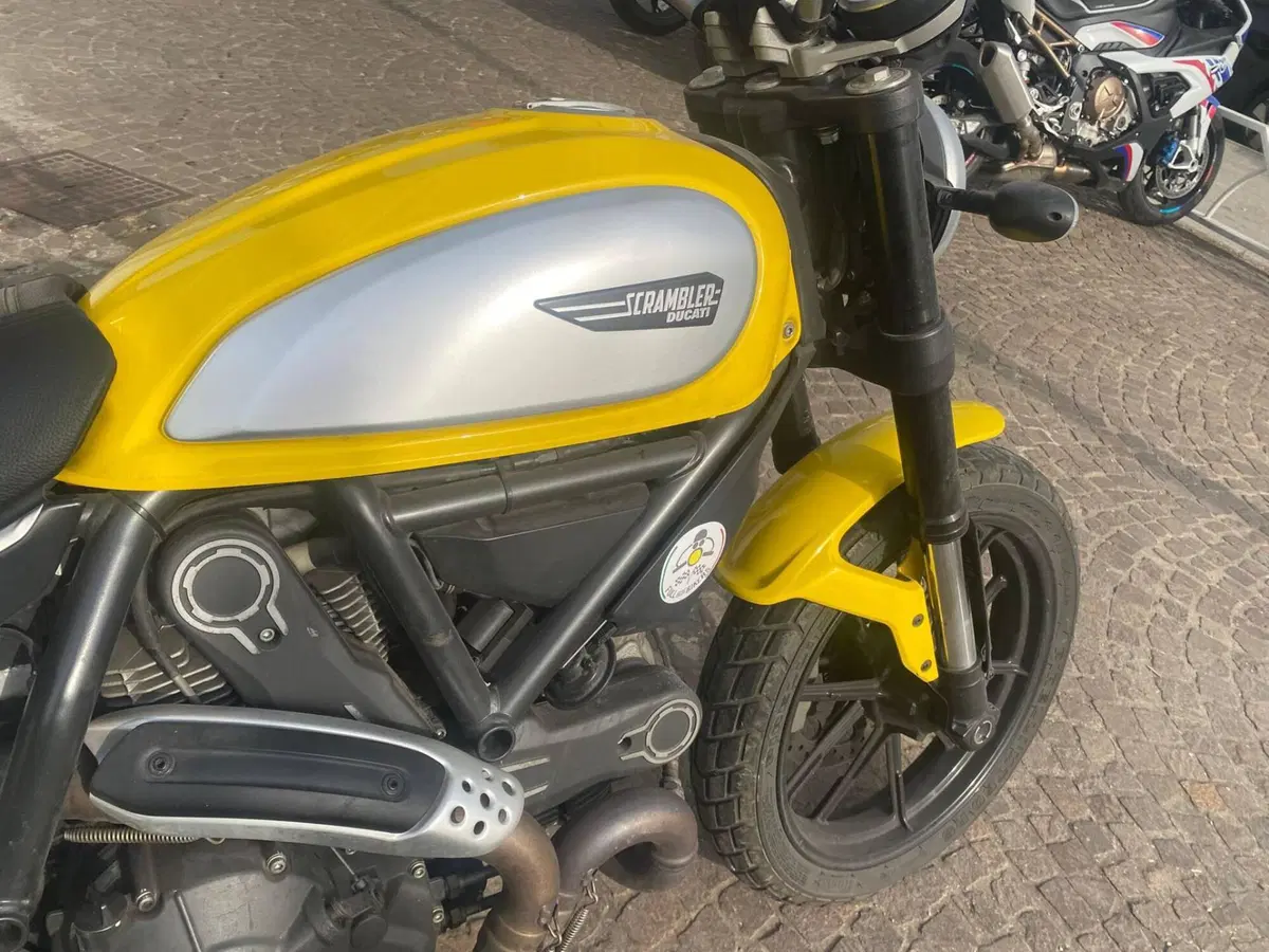 Ducati Scrambler 800 Icon (2017 - 20) (7)