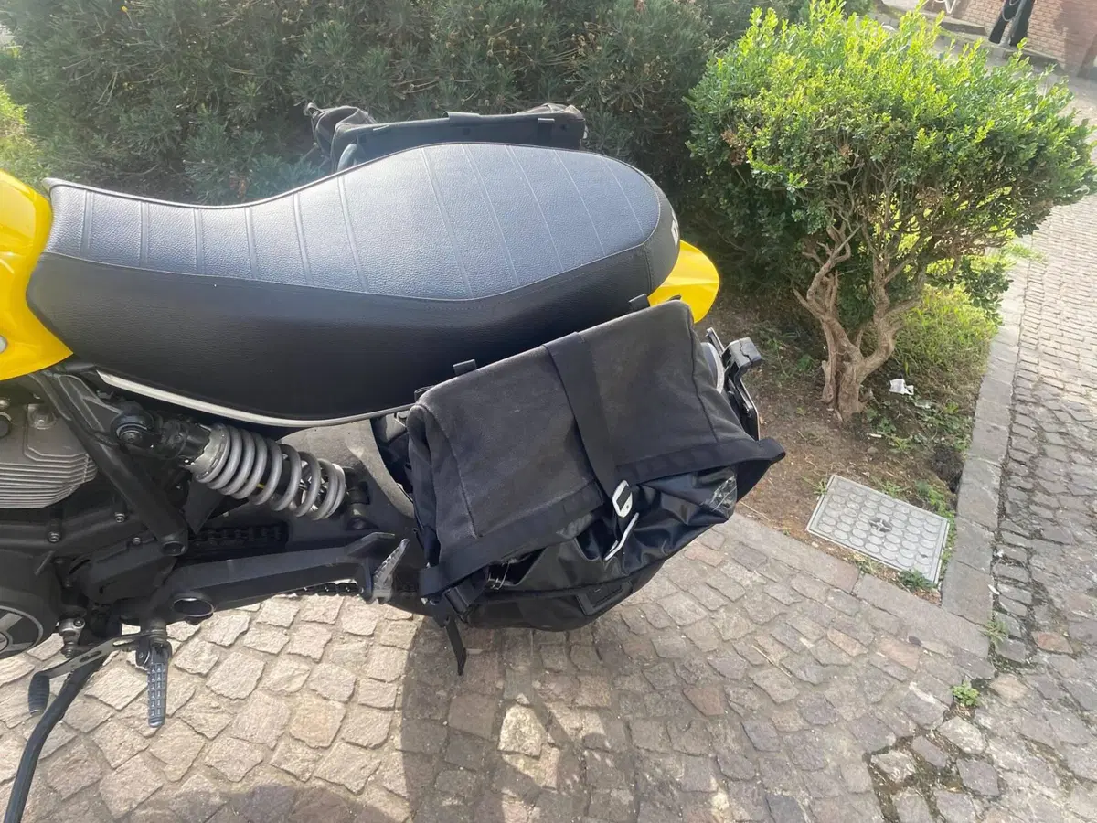 Ducati Scrambler 800 Icon (2017 - 20) (8)