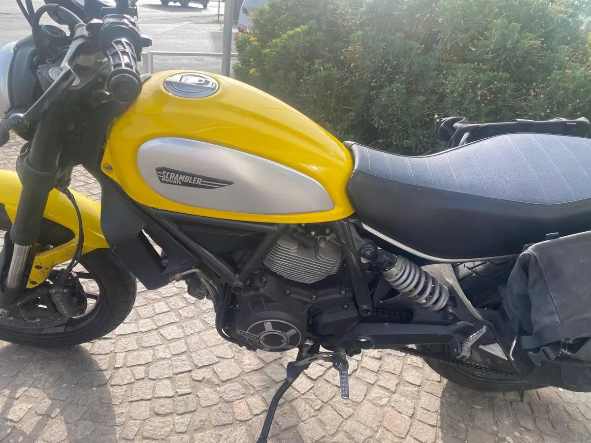 Ducati Scrambler 800 Icon (2017 - 20) (9)
