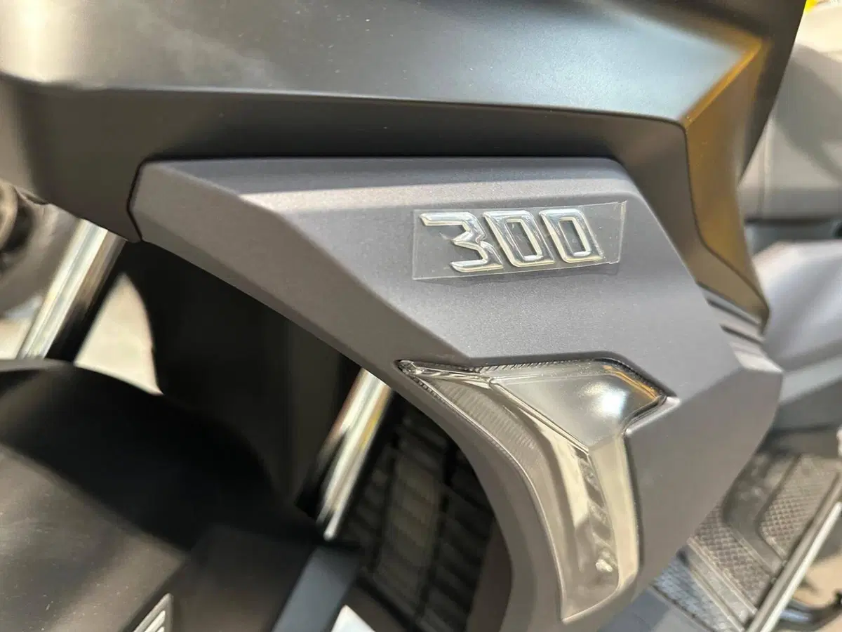 Sym ADX 300 (2024 - 26) (6)