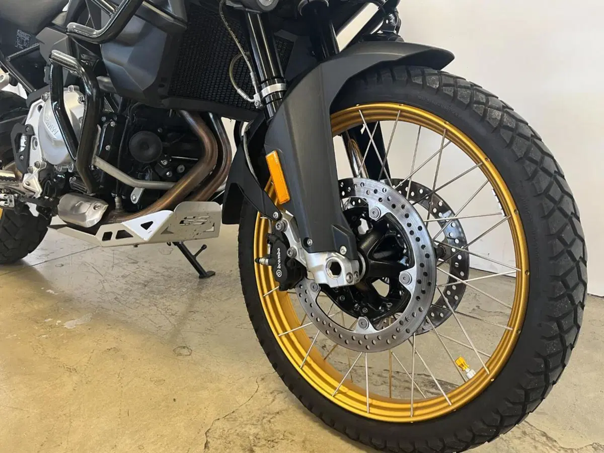 Bmw F 850 GS (2018 - 20) (4)