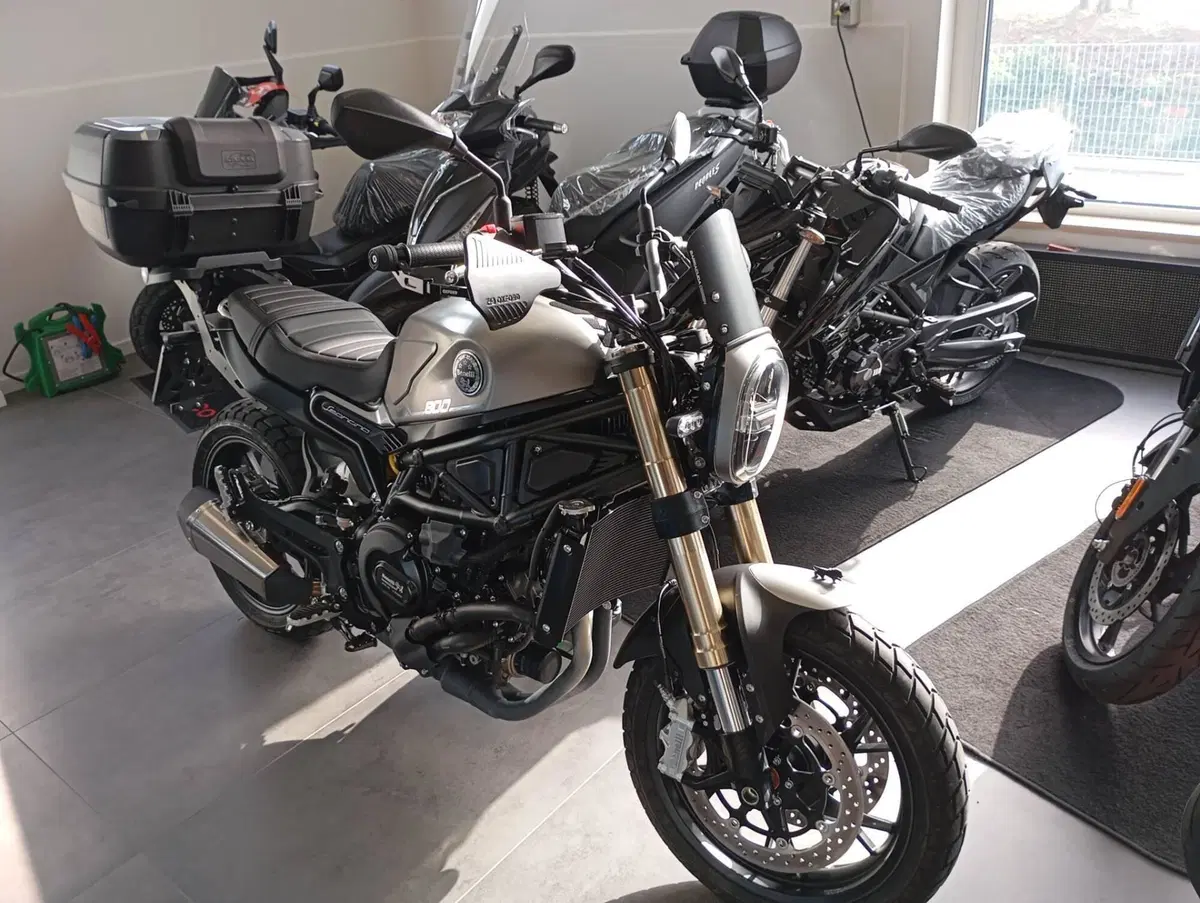 Benelli Leoncino 800 (2022 - 26)