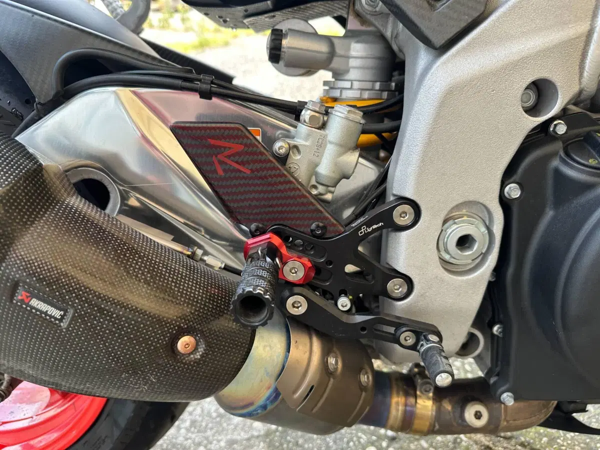 Aprilia Tuono V4 Factory (2017 - 18) (6)