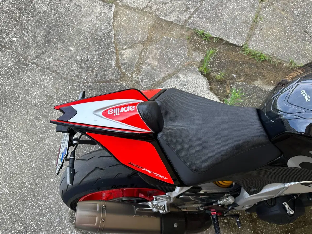 Aprilia Tuono V4 Factory (2017 - 18) (7)
