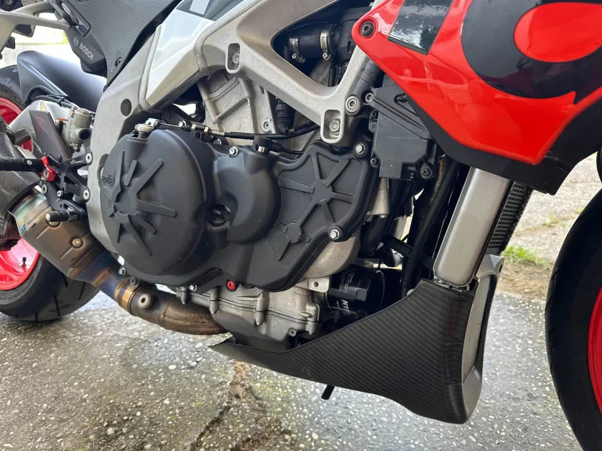 Aprilia Tuono V4 Factory (2017 - 18) (8)