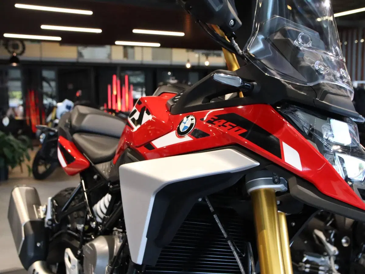 Bmw F 450 GS (2026) (3)