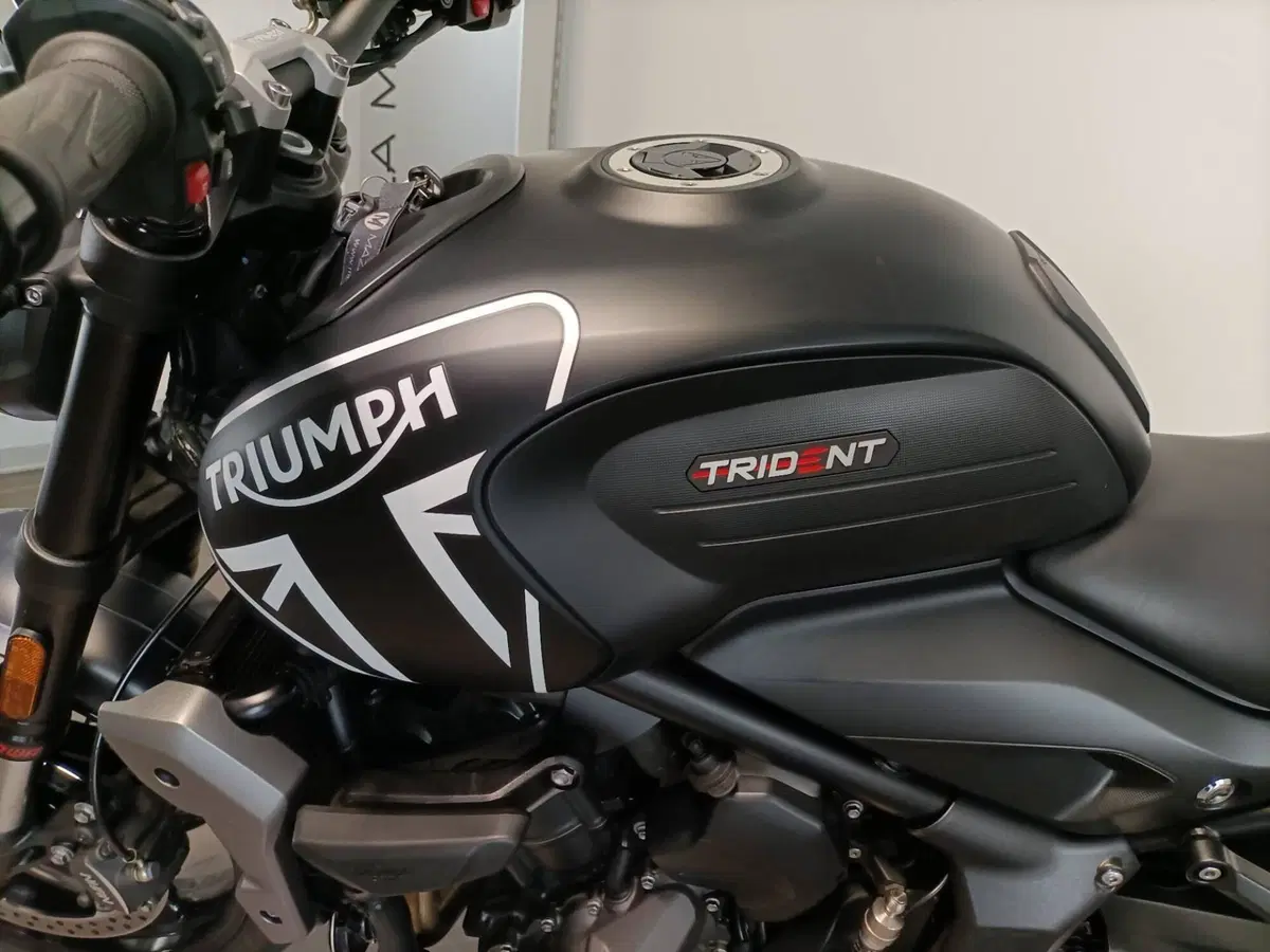 Triumph Trident 660 (2021 - 24) (6)