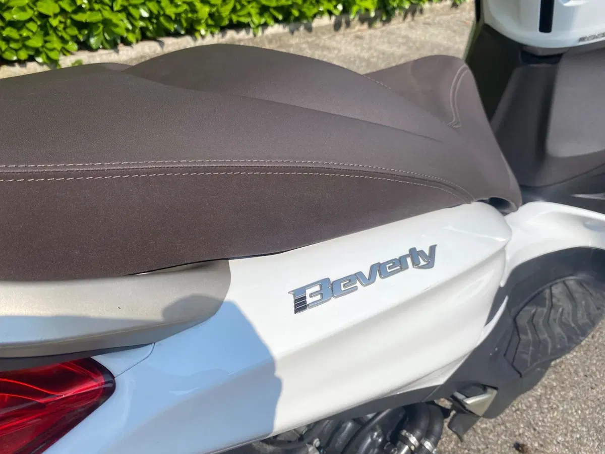 Piaggio Beverly 300 ABS-ASR (2021 - 25) (6)