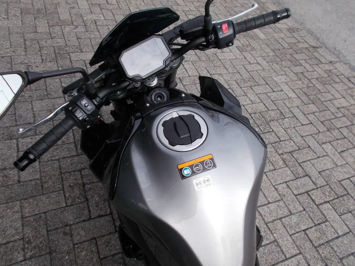 Kawasaki Z 900 (2021 - 24) (5)