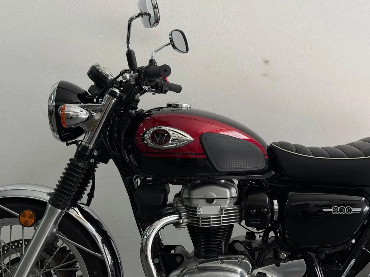 Kawasaki W 800 (2021 - 26) (3)
