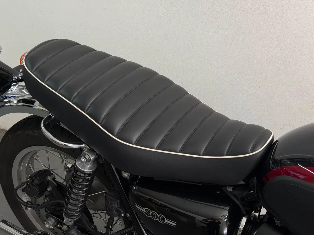 Kawasaki W 800 (2021 - 26) (6)