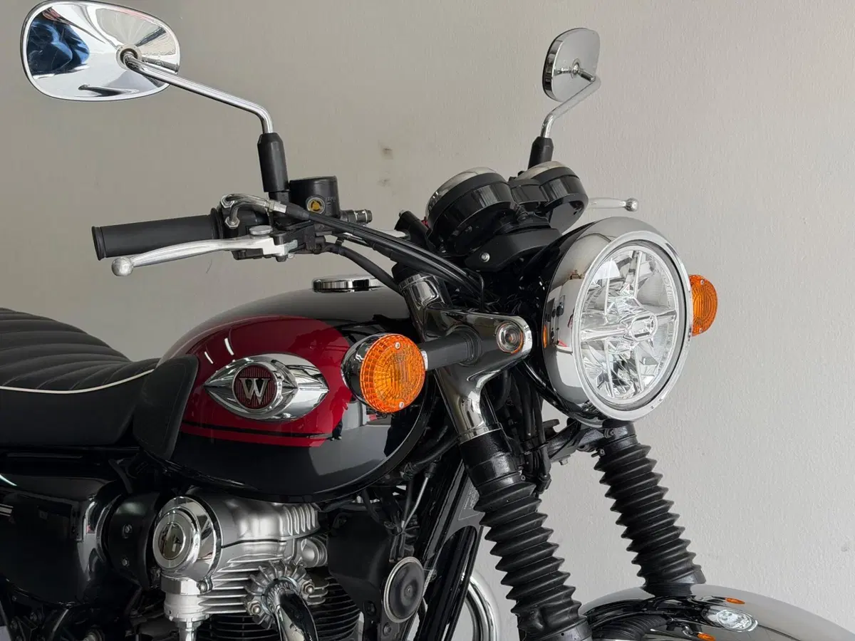 Kawasaki W 800 (2021 - 26) (8)