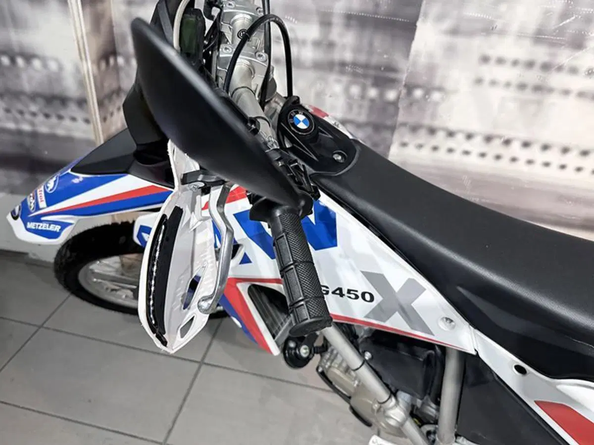 Bmw G 450 X (2010 - 12) (3)