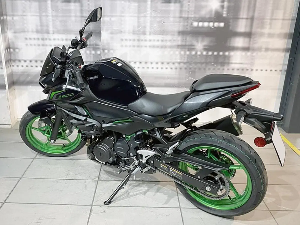 Kawasaki Z 500 SE (2024 - 26) (2)