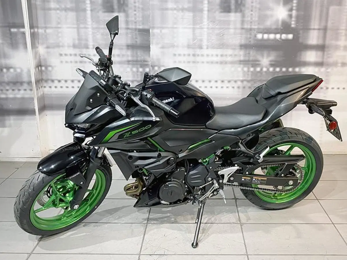 Kawasaki Z 500 SE (2024 - 26) (4)