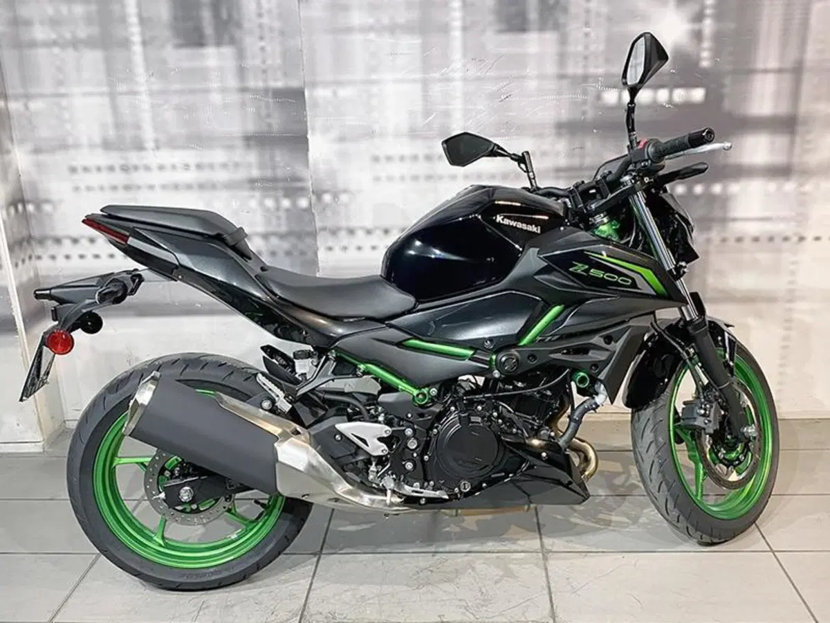 Kawasaki Z 500 SE (2024 - 26) (5)