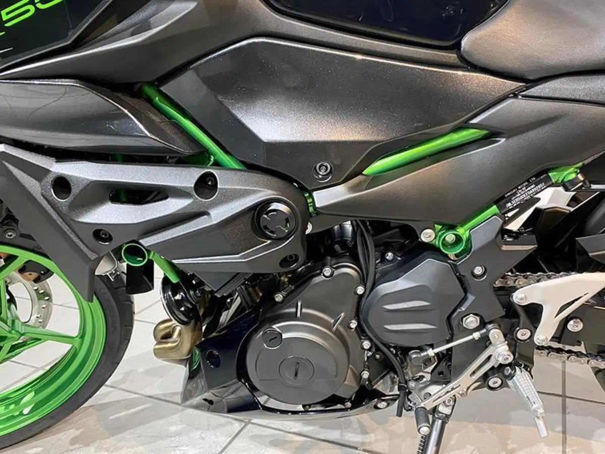 Kawasaki Z 500 SE (2024 - 26) (6)