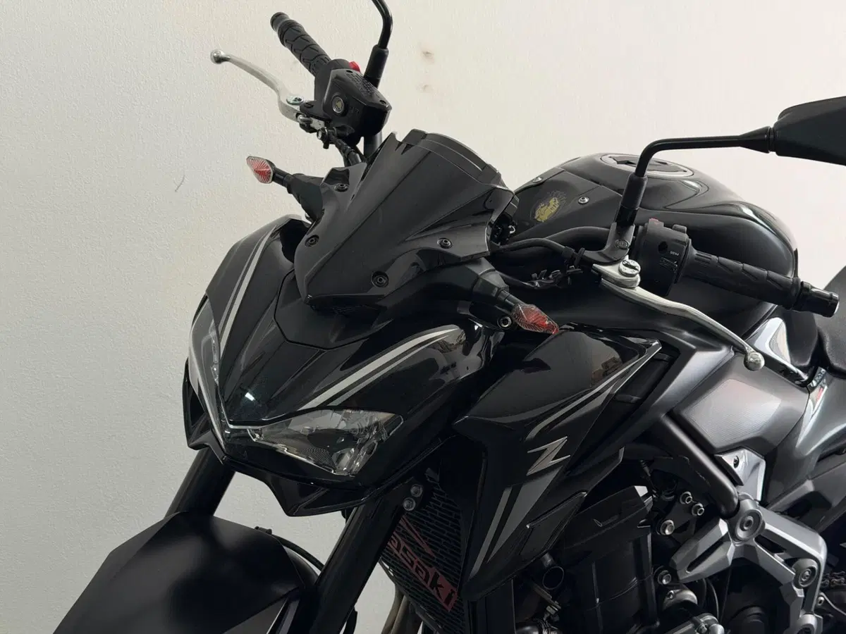Kawasaki Z 900 (2017 - 18) (5)