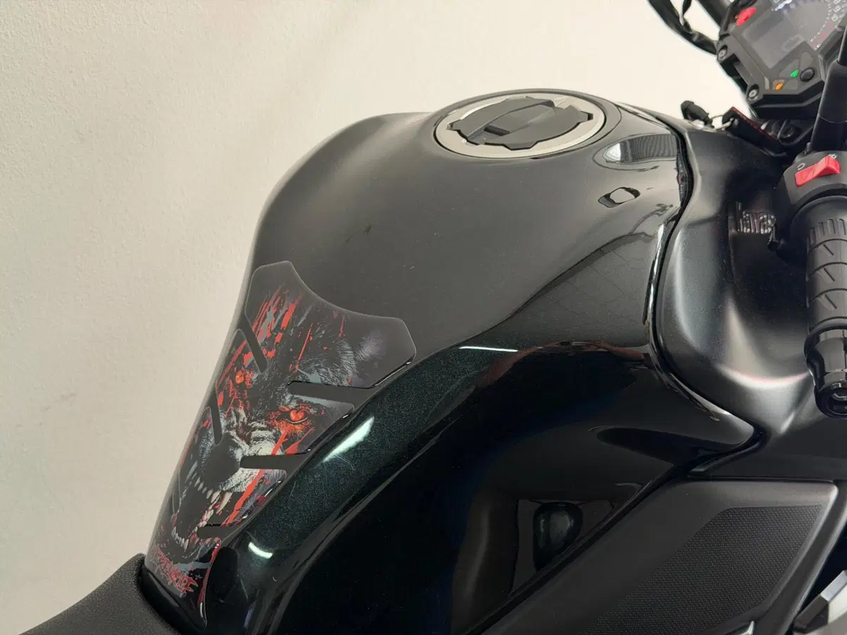 Kawasaki Z 900 (2017 - 18) (7)