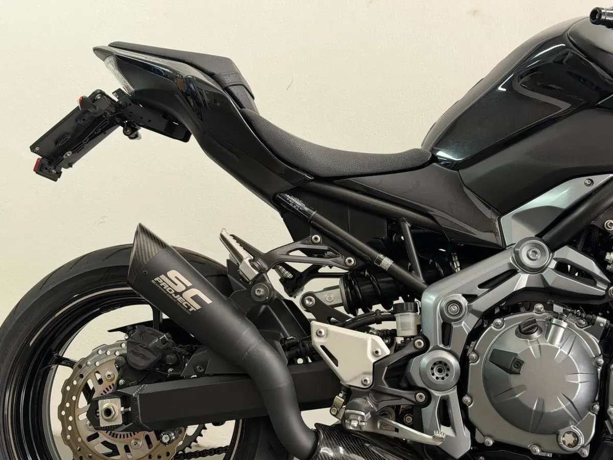 Kawasaki Z 900 (2017 - 18) (9)