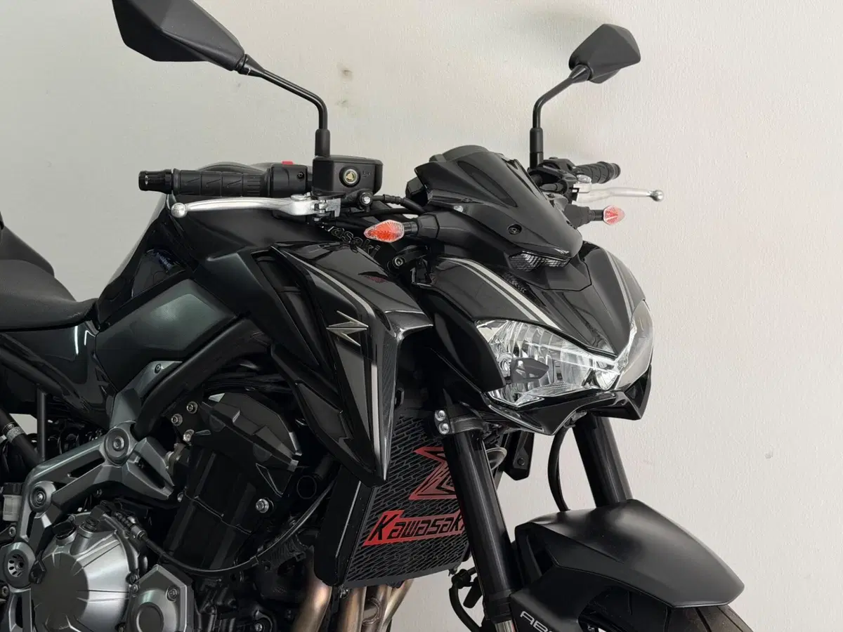 Kawasaki Z 900 (2017 - 18) (11)