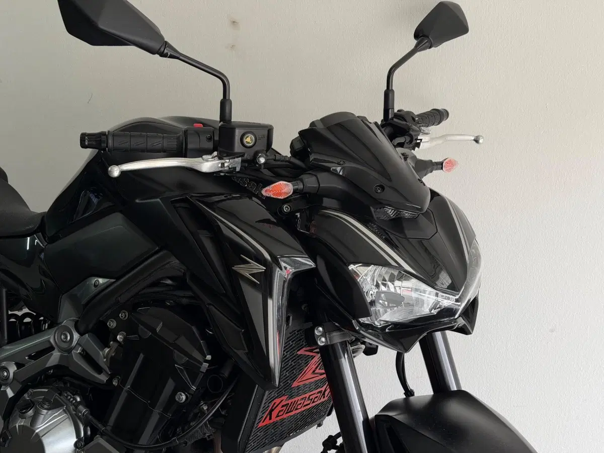 Kawasaki Z 900 (2017 - 18) (12)