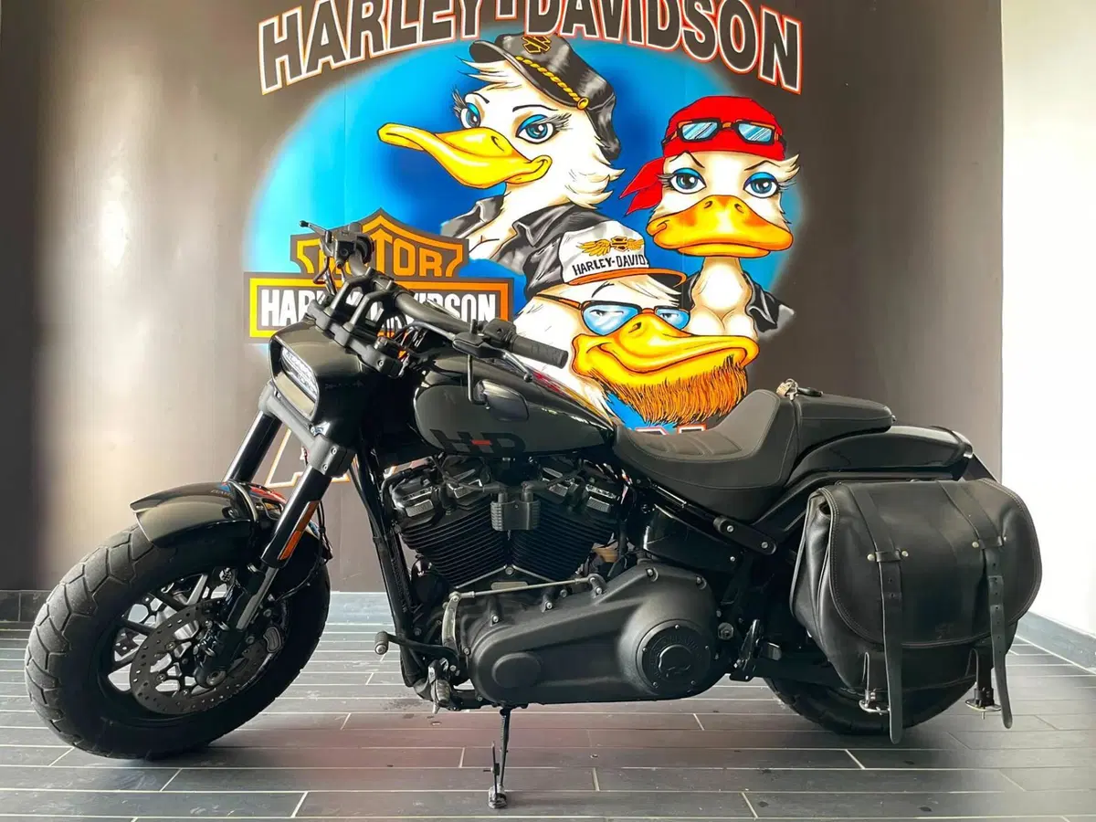 Harley-Davidson Fat Bob 114 (2021 - 25) (2)