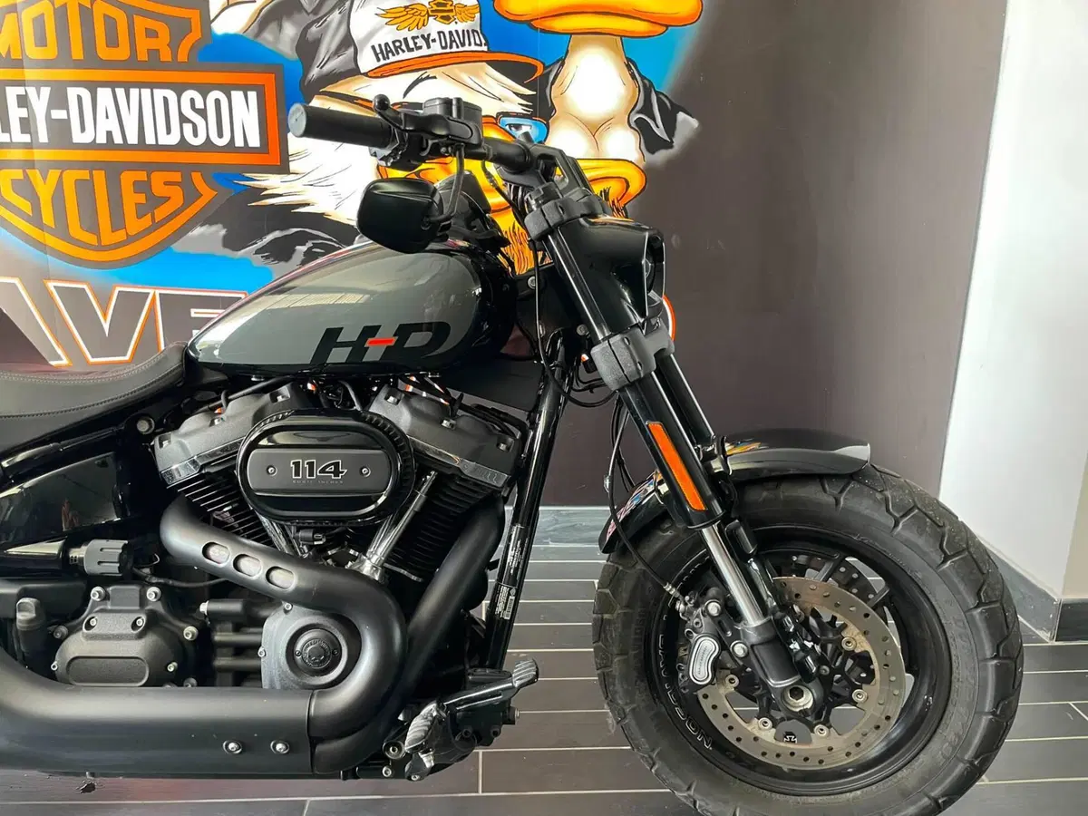 Harley-Davidson Fat Bob 114 (2021 - 25) (3)