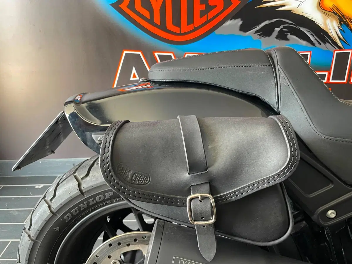Harley-Davidson Fat Bob 114 (2021 - 25) (8)