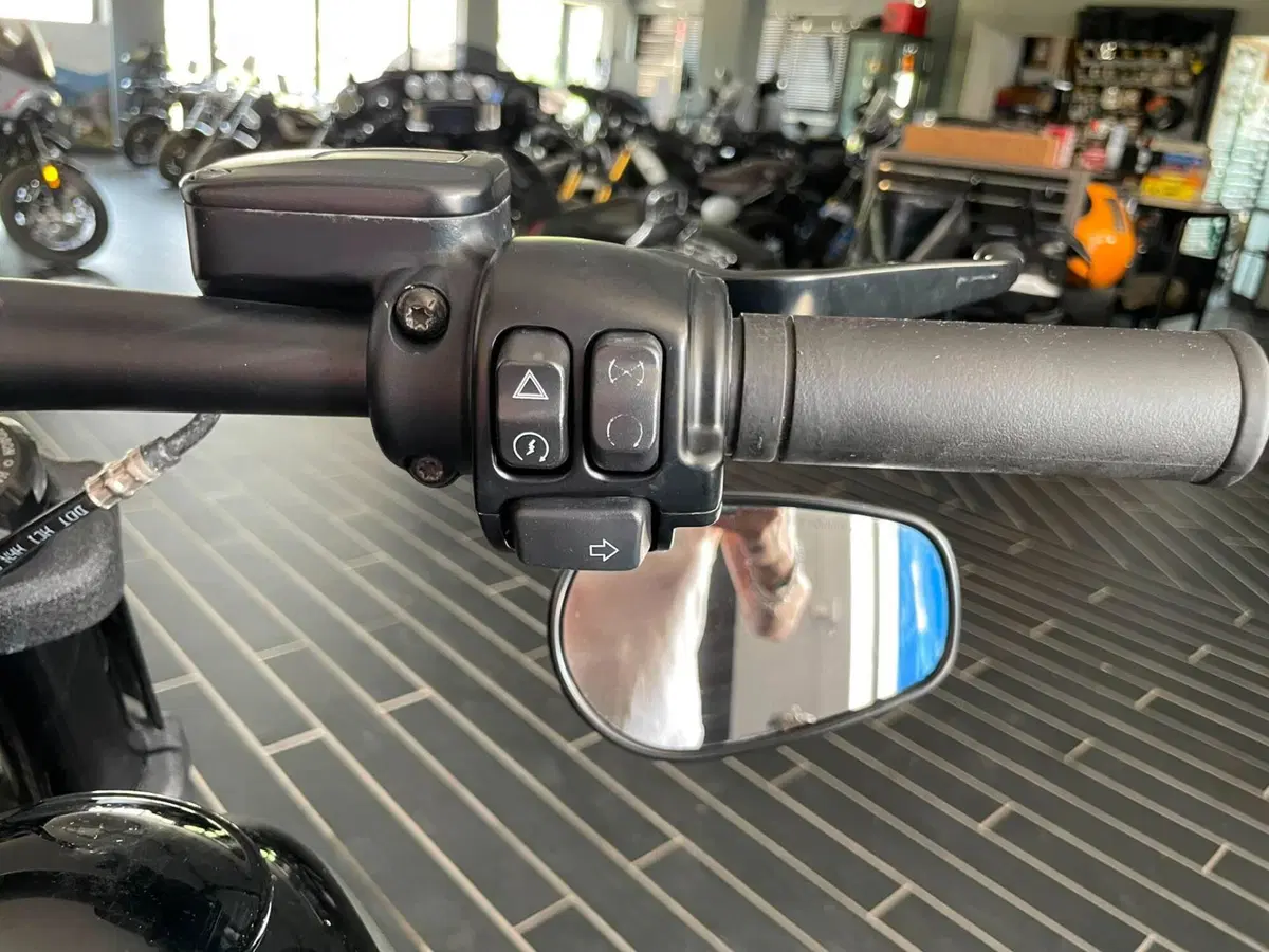 Harley-Davidson Fat Bob 114 (2021 - 25) (12)