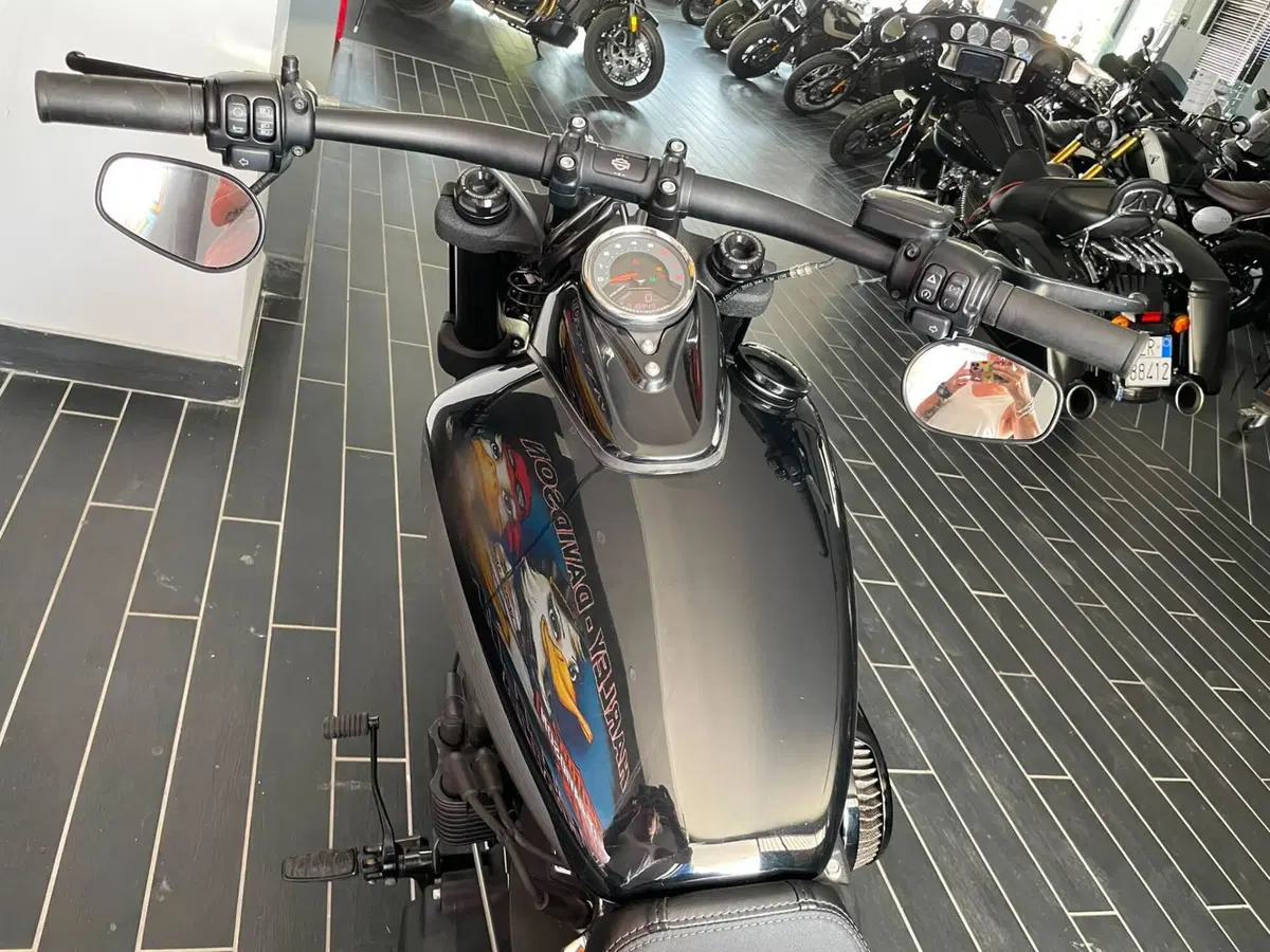 Harley-Davidson Fat Bob 114 (2021 - 25) (13)